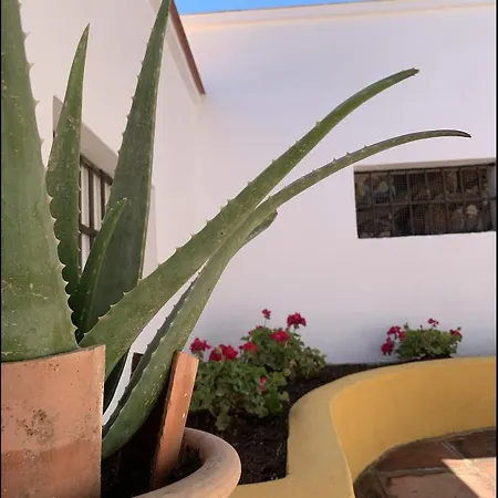 Novedad Centrico Con Porche Y Jardin Apartment *
