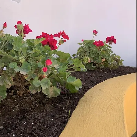 Novedad Centrico Con Porche Y Jardin Apartment Torremolinos