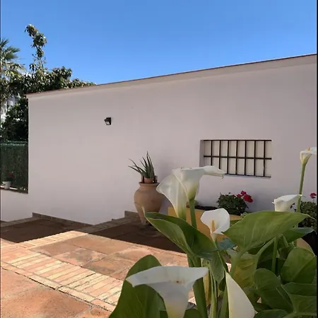 Apartment Novedad Centrico Con Porche Y Jardin *
