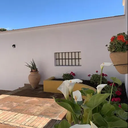 Apartment Novedad Centrico Con Porche Y Jardin
